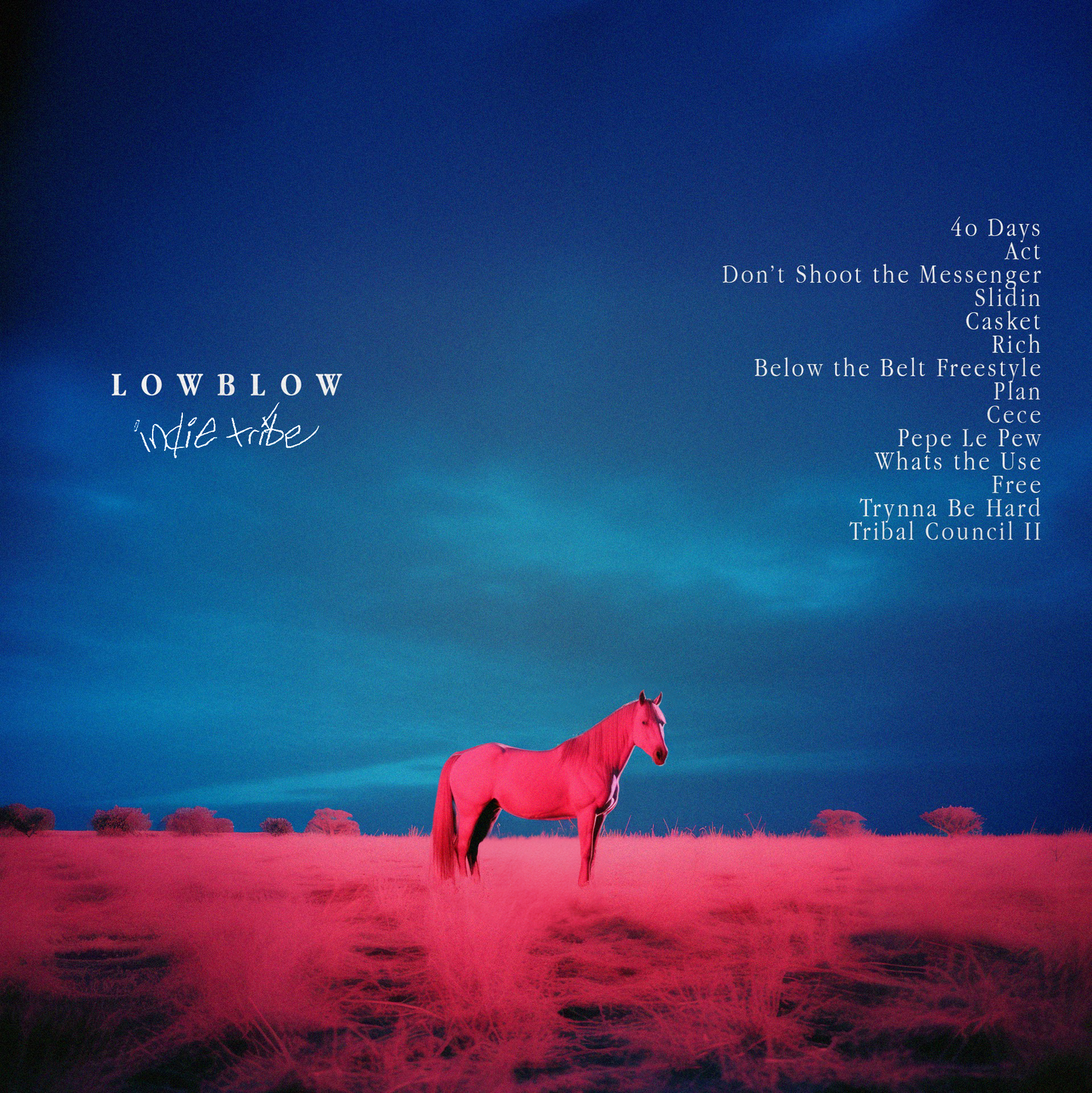L O W B L O W CD
